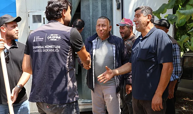 İzmir Büyükşehir tarım üreticisinin imdadına yetişti
