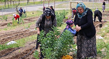 İzmir Mahalle Bostanları büyüyor