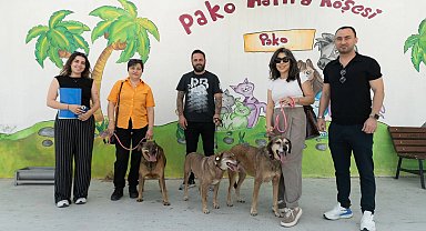 İzmir'de patili dostlar iş başında