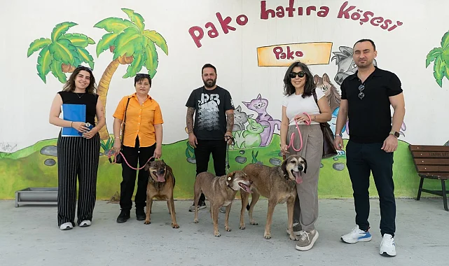 İzmir'de patili dostlar iş başında