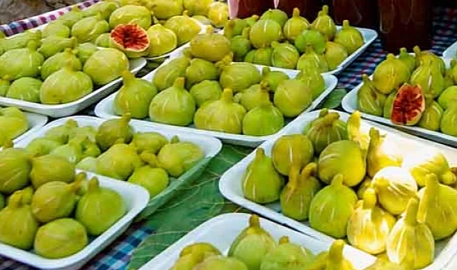 İzmir'in bardacıkları görücüye çıkıyor... En tatlı festival 22-23 Ağustos'ta Payamlı'da