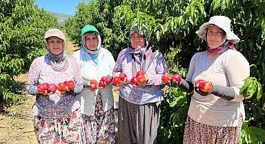 İznikli nektarin üreticisinden fiyat tepkisi