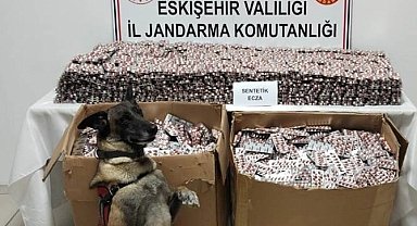 Jandarma 84 bin adet sentetik ecza hapı ele geçirdi, 3 kişi tutuklandı