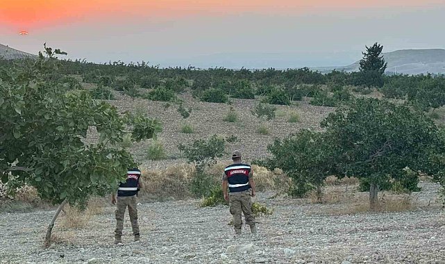 Jandarmadan fıstık nöbeti