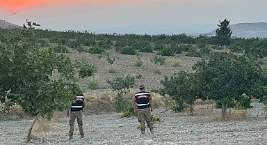 Jandarmadan fıstık nöbeti