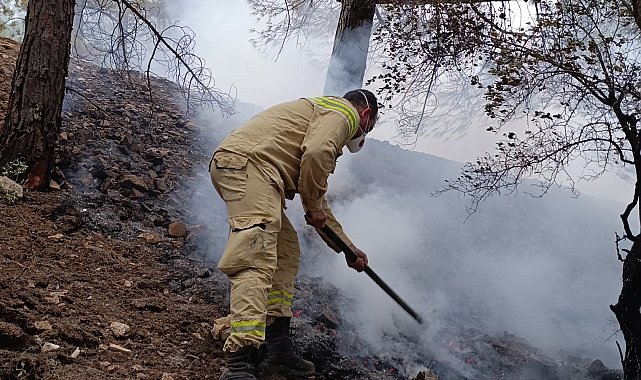 Kahramanmaraş Ahır Dağı'ndaki orman yangınına müdahale sürüyor