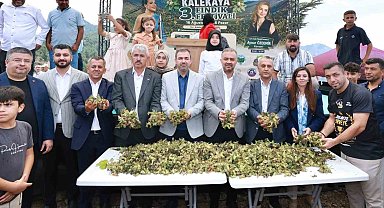Kahramanmaraş'ın Karadeniz'i Kalekaya'da Fındık Festivali