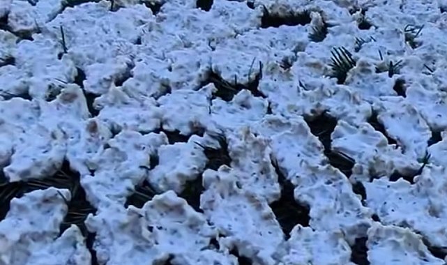 Kahramanmaraş'ta tarhana mesaisi
