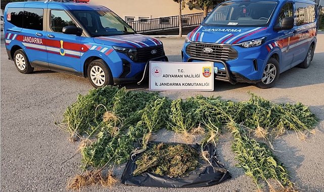 Kahta'da uyuşturucu operasyonu
