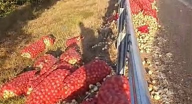 Kamyon devrildi, tonlarca soğan yola saçıldı: 2 yaralı