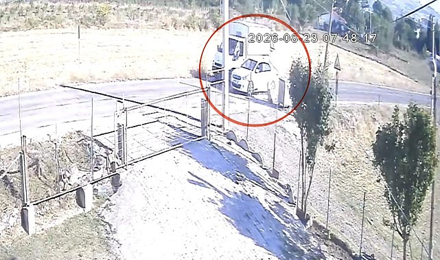Kamyoneti sollayan otomobil başıboş sokak köpeğine çarptı: O anlar kamerada