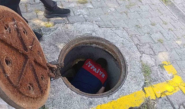 Kanalizasyon borusuna sıkışan yavru kedi kurtarıldı
