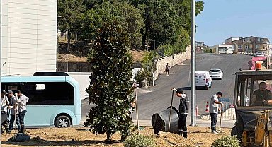 Karabük'te 200 ağaç ve süs bitkisi toprakla buluşuyor