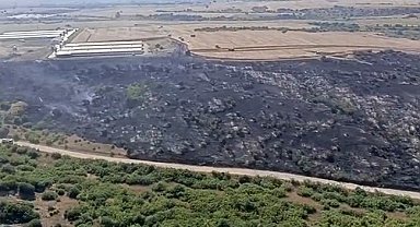 Karacabey'de makilik alandaki yangın fabrikaya ulaşmadan söndürüldü