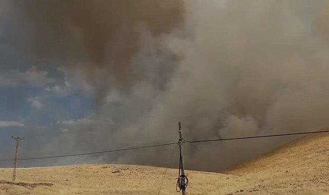 Karakoçan'da örtü yangını