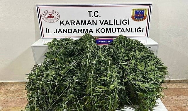 Karaman'da jandarmanın yakaladığı 44 şahıstan 9'u tutuklandı