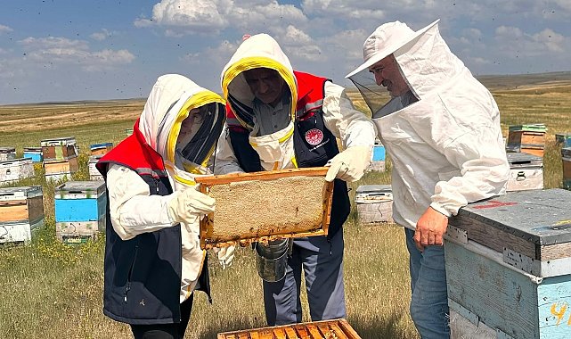 Kars'ta arılı kovanlar mercek altında: Üreticilere yerinde teknik destek