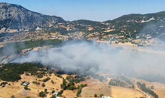 Kaş'ta çıkan ormanlık alan yangını 2,5 saatte kontrol altına alındı