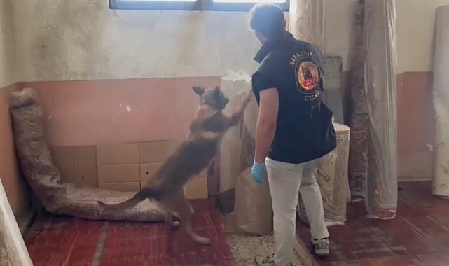 Kastamonu'da 19 ayrı noktada eş zamanlı narkotik operasyonu: 15 gözaltı