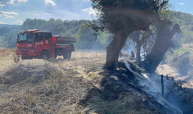 Kastamonu'da çıkan örtü yangını söndürüldü