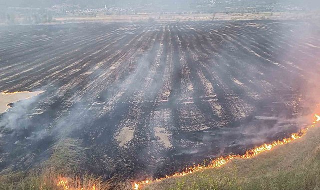 Kastamonu'da çıkan örtü yangınında 400 dönüm alan zarar gördü
