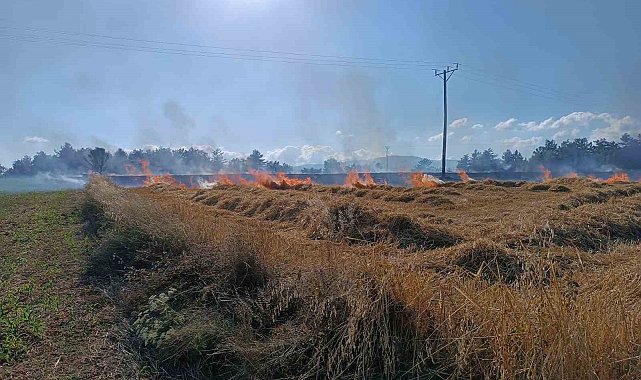Kastamonu'da çıkan yangında 13 dönümlük tarar zarar gördü