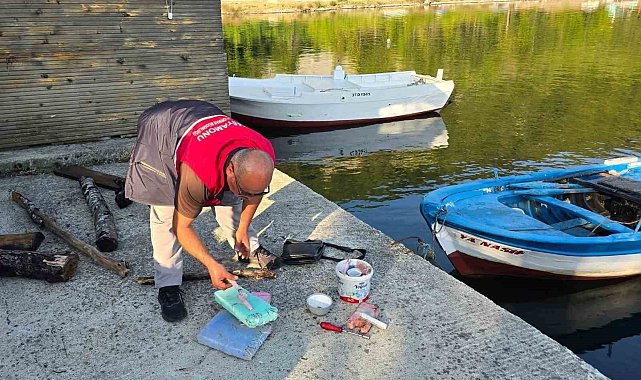 Kastamonu'da yasa dışı palamut avcılığına geçit yok: 4 kişiye para cezası uygulandı