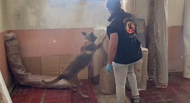 Kastamonu'daki uyuşturucu operasyonunda 5 şüpheli tutuklandı