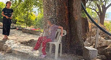Kavurucu sıcağa karşı çözümü ağaçtan sarkıttığı hortumdan akan suda buldu