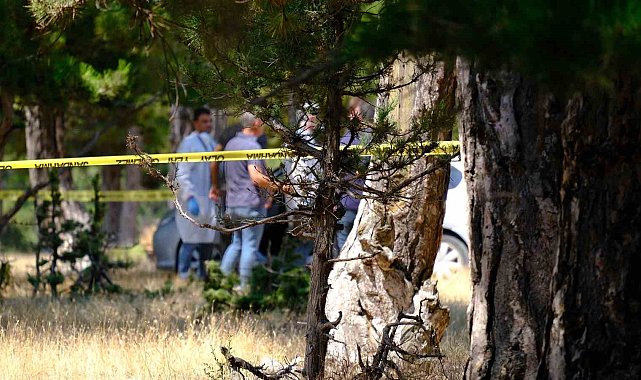 Kayıp olarak aranan kadın ormanlık alanda ölü bulundu