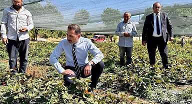 Kaymakam Hökelekli tarımsal üretimi sahada takip etti