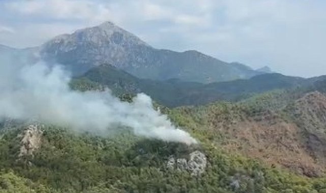 Kemer'de orman yangını