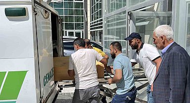 Kene tutunması sonrası hayatını kaybetti