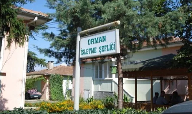 Kepsut'a Orman İşletme Müdürlüğü kuruluyor