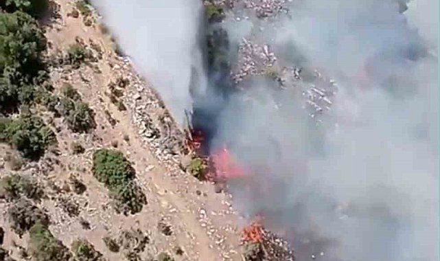 Kiraz'daki orman yangına havadan ve karadan müdahale