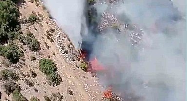 Kiraz'daki orman yangına havadan ve karadan müdahale