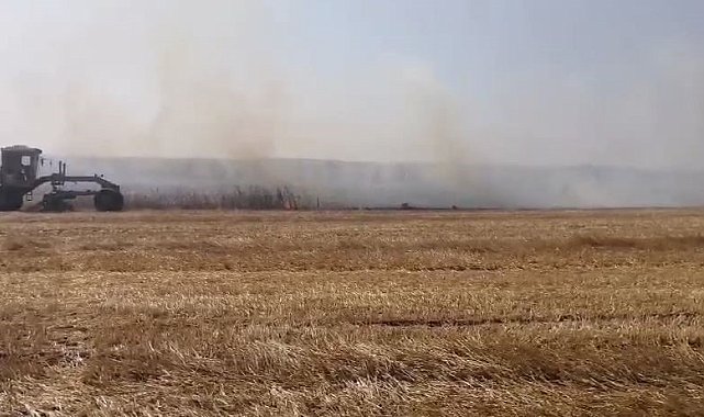 Kırklareli'nde yerleşim alanlarına sıçrayan anız yangınında bir bağ evi yandı