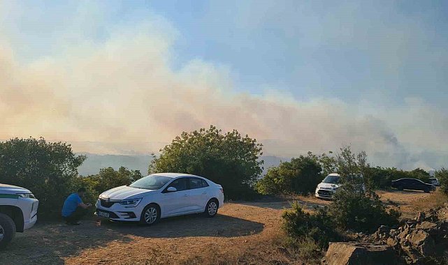 Kocaeli Valiliğinden Gebze'deki orman yangınına ilişkin açıklama