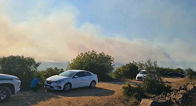 Kocaeli Valiliğinden Gebze'deki orman yangınına ilişkin açıklama