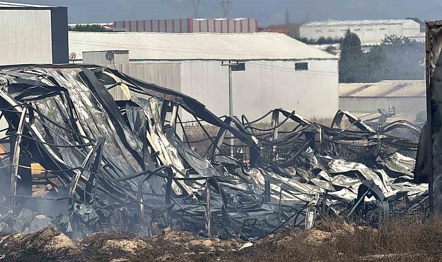 Kocaeli'de kimya fabrikasında yangın: 2 işçi yaralandı, 2 at telef oldu