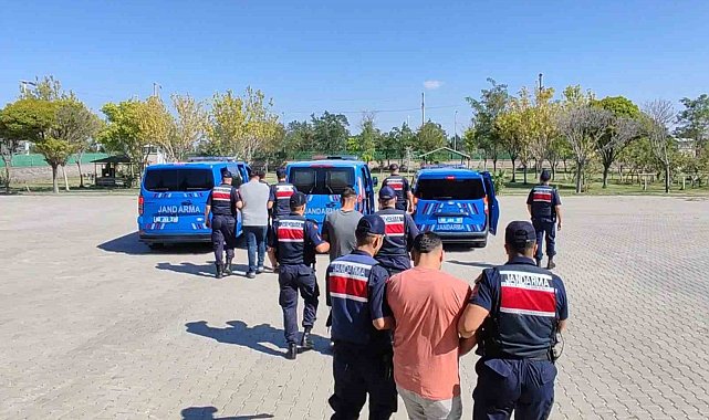 Köpekleri dövüştürüp sosyal medyada paylaştılar, jandarma ekiplerince operasyonla yakalandılar