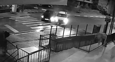 Koruma polisleri kaza yaptı: 2 polis yaralandı