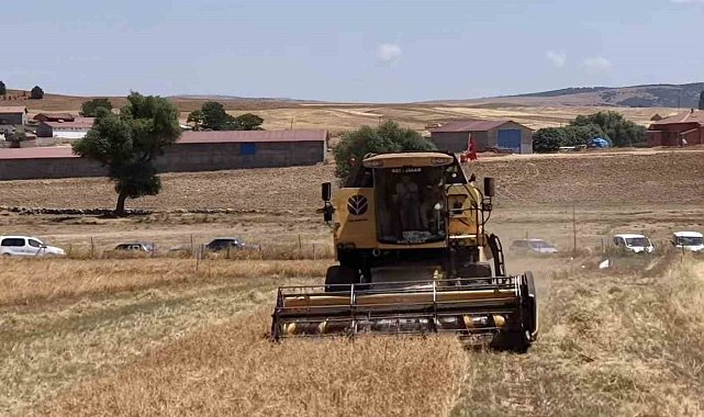 Kütahya'da 18 farklı nohut çeşidi aynı tarlada tanıtıldı