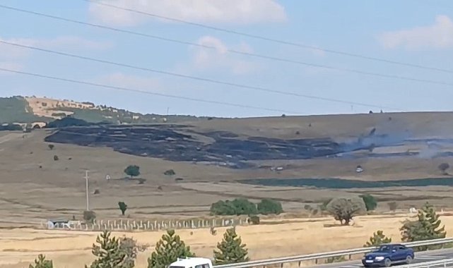 Kütahya'da otluk alanda çıkan yangın bekçi kulübesine sıçradı
