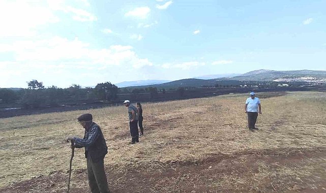 Kütahya'da yangının ardından tarım arazilerinde hasar tespiti