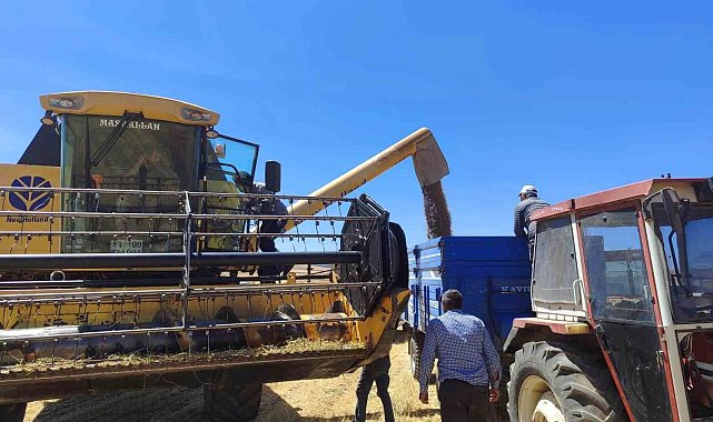 Kütahya'da yerli ve milli tohumlarda nohut hasadı gerçekleştirildi