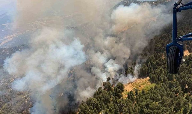 Kuyucak'ta orman yangını