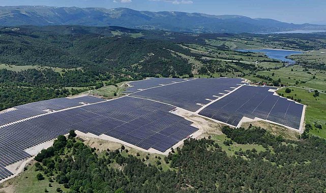 Ladik GES'te agrivoltaik tarımda hasat zamanı