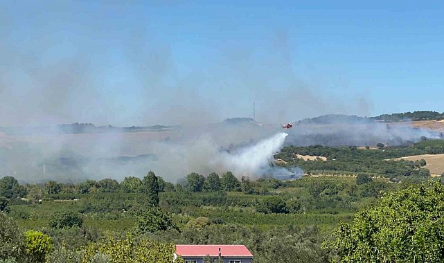 Lapseki'de tarım arazisindeki yangına müdahale devam ediyor