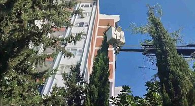 Mahsur kalan kediyi itfaiye kurtardı